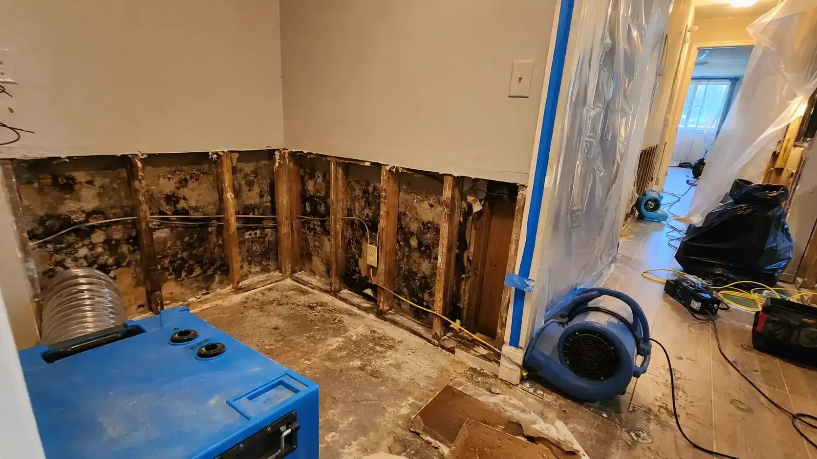 Image water damage restoration 5 water damage point