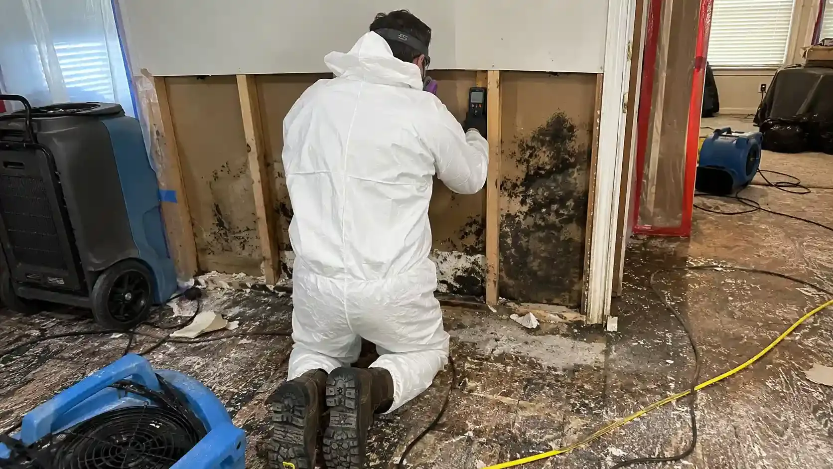 Image water damage restoration 8 water damage point